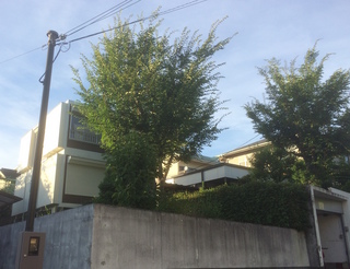 20151001_1.jpg